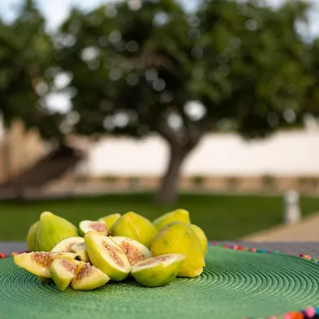 Domus Terra Mare Bed & Breakfast 4*