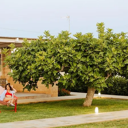 Bed & Breakfast Domus Terra Mare